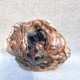 Bois Fossile - Tranche