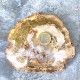 Bois Fossile - Tranche