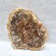 Bois Fossile - Tranche