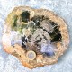 Bois Fossile - Tranche