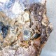 Bois Fossile - Tranche