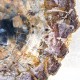 Bois Fossile - Tranche