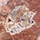 Bois Fossile - Tranche