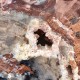 Bois Fossile - Tranche