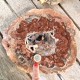 Bois Fossile - Tranche