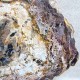 Bois Fossile - Tranche