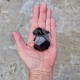 Tourmaline Noire - Ihosy, Fianarantsoa, Madagascar
