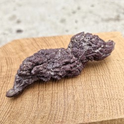 Coprolithe - Sidérite - Madagascar