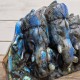 Labradorite - Ganesh