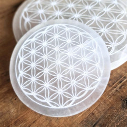 Sélénite - Disque de rechargement Fleur de Vie - 8 cm