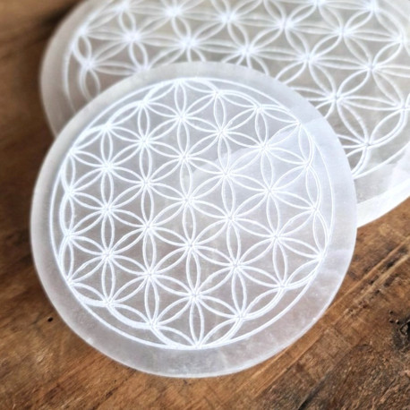 Sélénite - Disque de rechargement Fleur de Vie - 8 cm