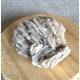 Baryte - Barytine