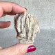 Baryte - Barytine