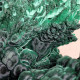 Malachite mamelonnée - RDC, Katanga