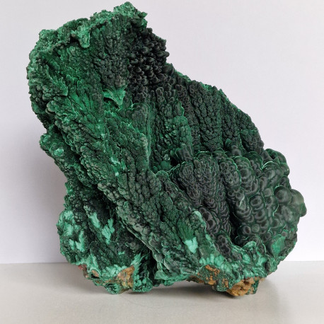 Malachite mamelonnée - RDC, Katanga