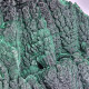Malachite mamelonnée - RDC, Katanga