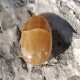 calcite jaune galet