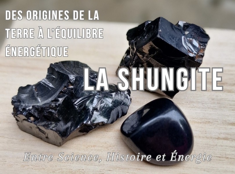 La Shungite : Des Origines de la Terre à l’Équilibre Énergétique - Entre Science, Histoire et Énergie